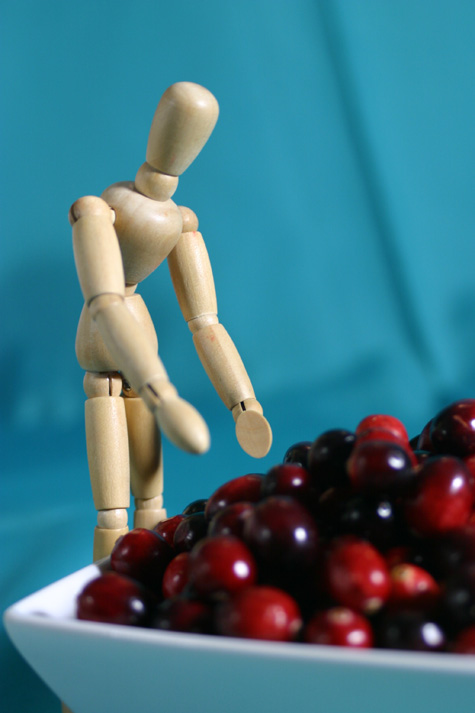 Cranberries with wooden man