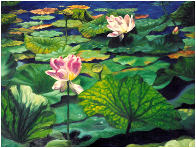 Lotus Pads and Blooms