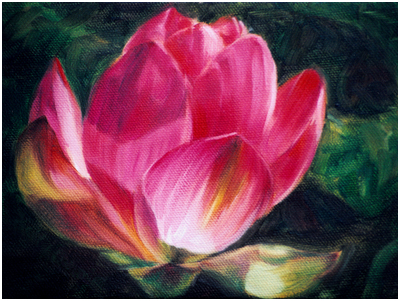 Red Colored Lotus Bloom